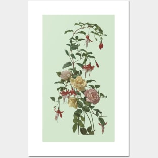 Vintage Tea Rose and Blush Roses Vector Art Posters and Art